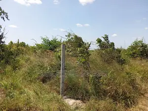 Plot Industry at Visiga Hecta 22 Pazuri Sana