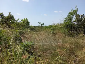 Plot Industry at Visiga Hecta 22 Pazuri Sana