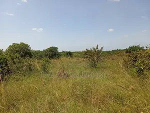 Plot Industry at Visiga Hecta 22 Pazuri Sana