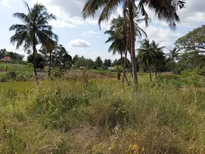 Plot Inauzwa Visiga Kibaha