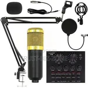 Studio Recording Microphone