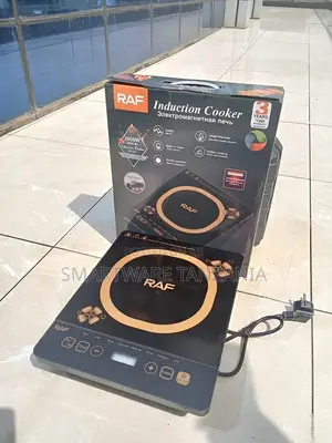 RAF Single-burner Infrared Cooker Electric Desktop Infrared