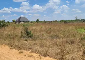 Farm for Sale With 20 Acres Located at Kibaha Meiji