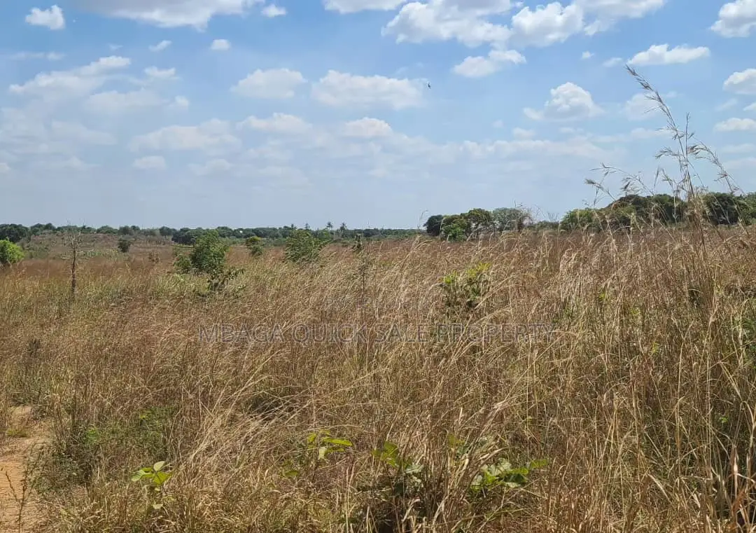 Farm for Sale With 20 Acres Located at Kibaha Meiji