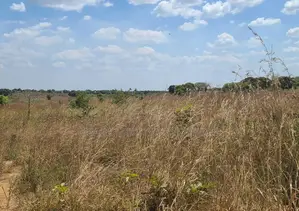 Farm for Sale With 20 Acres Located at Kibaha Meiji