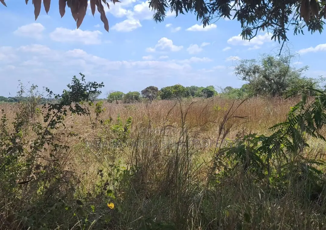 Farm for Sale With 20 Acres Located at Kibaha Meiji
