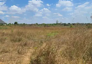 Farm for Sale With 20 Acres Located at Kibaha Meiji