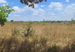 Farm for Sale With 20 Acres Located at Kibaha Meiji