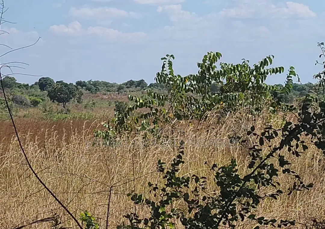 Farm for Sale With 20 Acres Located at Kibaha Meiji