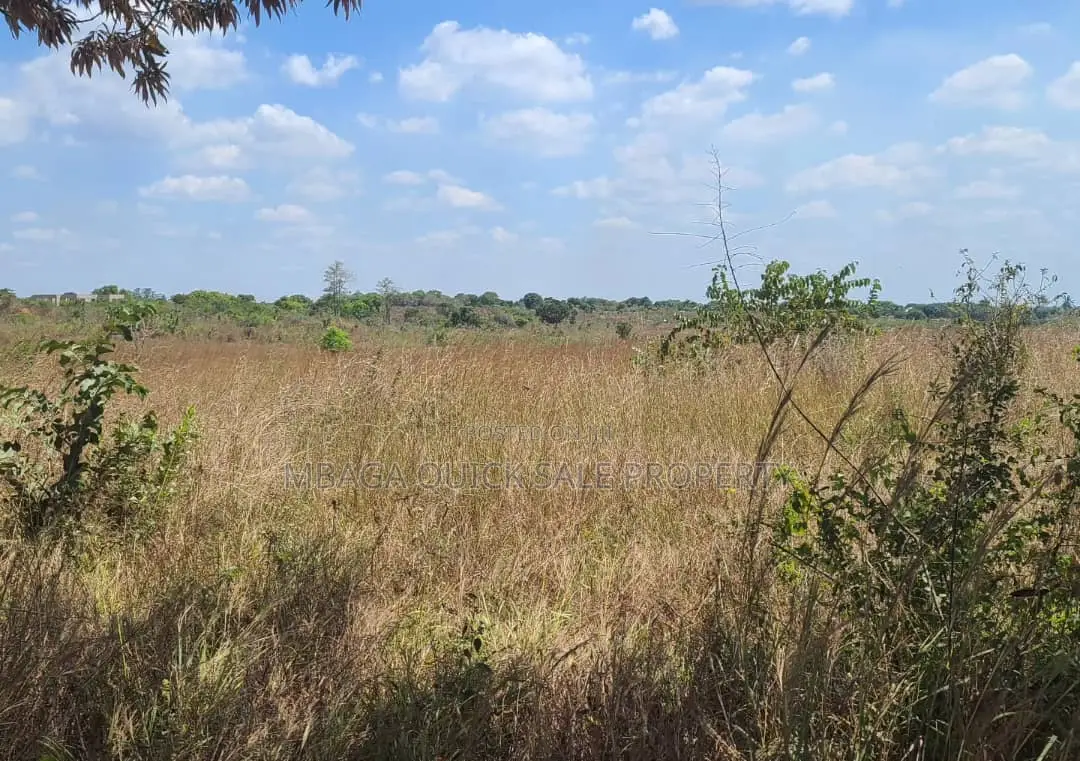 Farm for Sale With 20 Acres Located at Kibaha Meiji