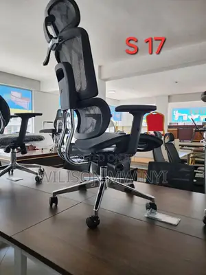 Ergonomic Office Chair