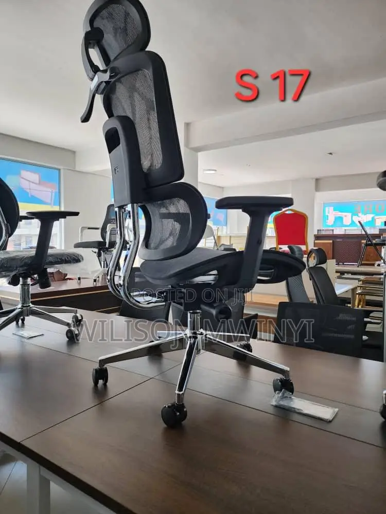 Ergonomic Office Chair