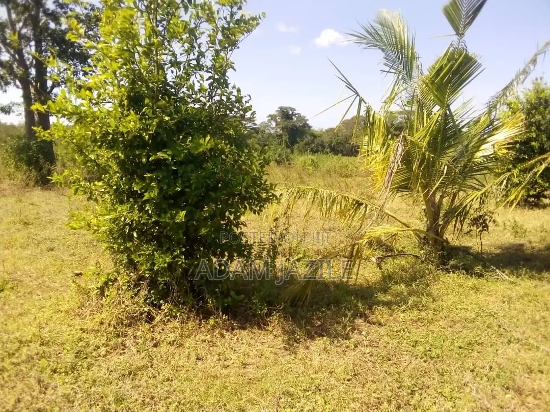 Shamba LA Ekari 50 Linauzwa Mbwewe Bagamoyo Chalinze