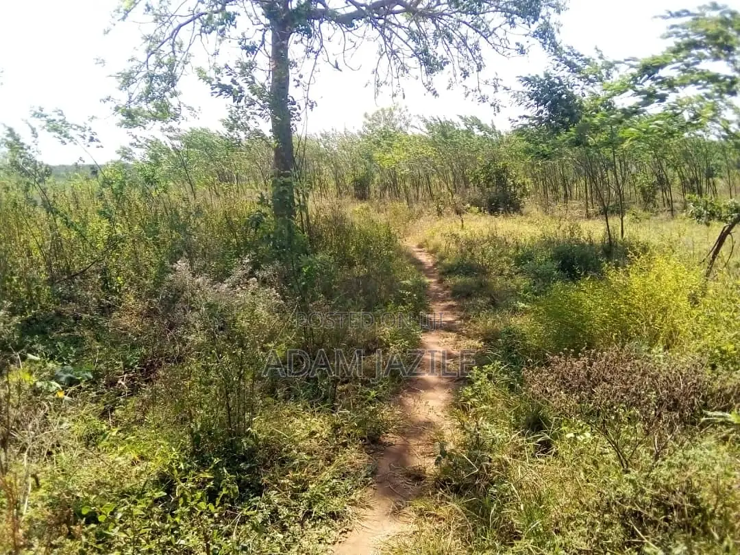 Shamba LA Ekari 50 Linauzwa Mbwewe Bagamoyo Chalinze