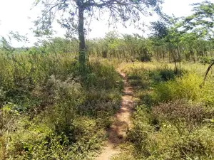 Shamba LA Ekari 50 Linauzwa Mbwewe Bagamoyo Chalinze