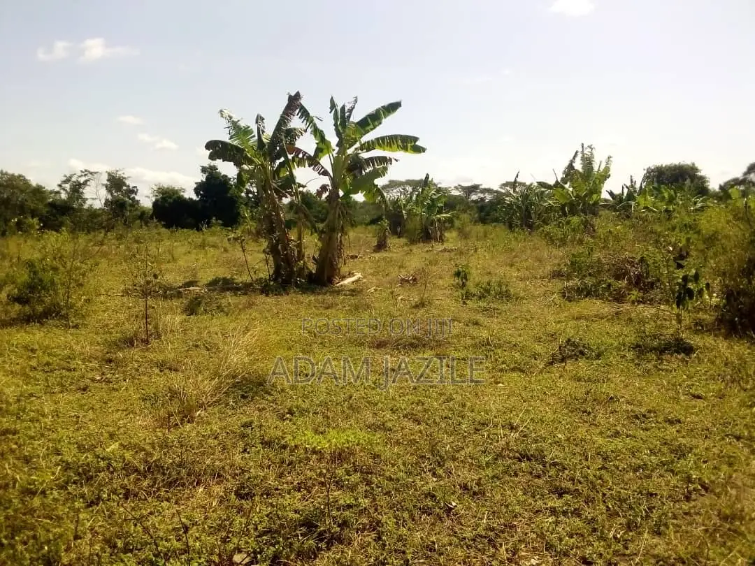 Shamba LA Ekari 50 Linauzwa Mbwewe Bagamoyo Chalinze