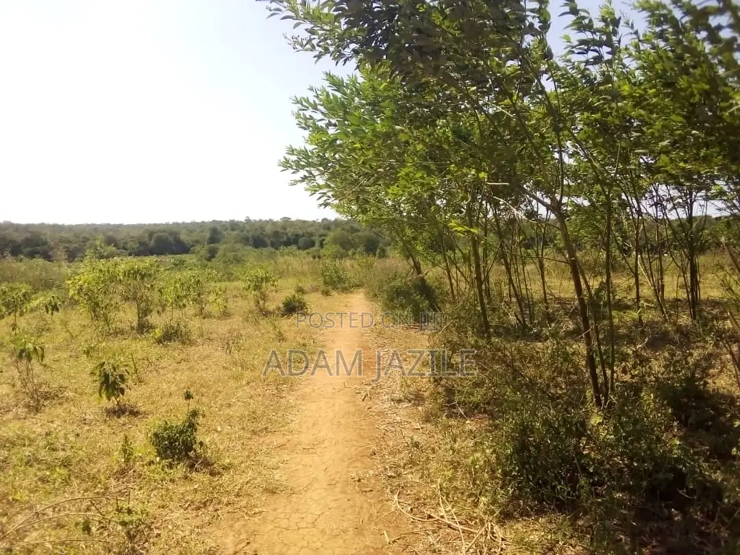 Shamba LA Ekari 50 Linauzwa Mbwewe Bagamoyo Chalinze