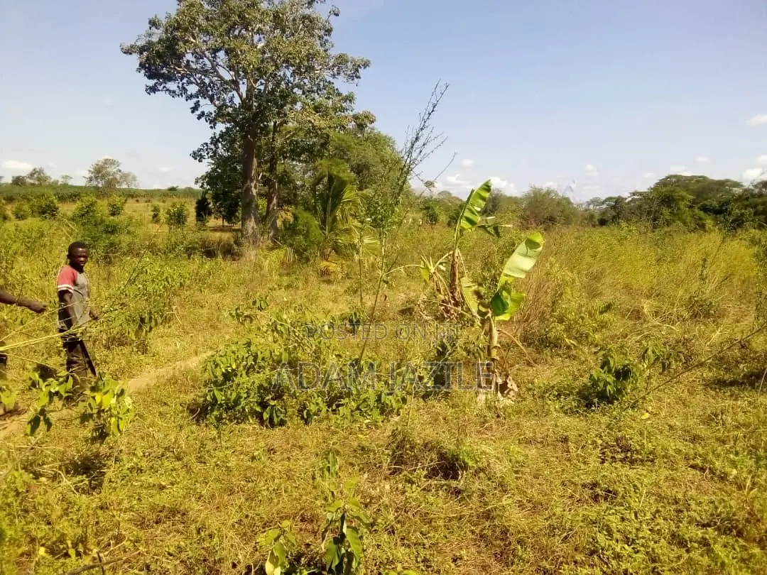 Shamba LA Ekari 50 Linauzwa Mbwewe Bagamoyo Chalinze