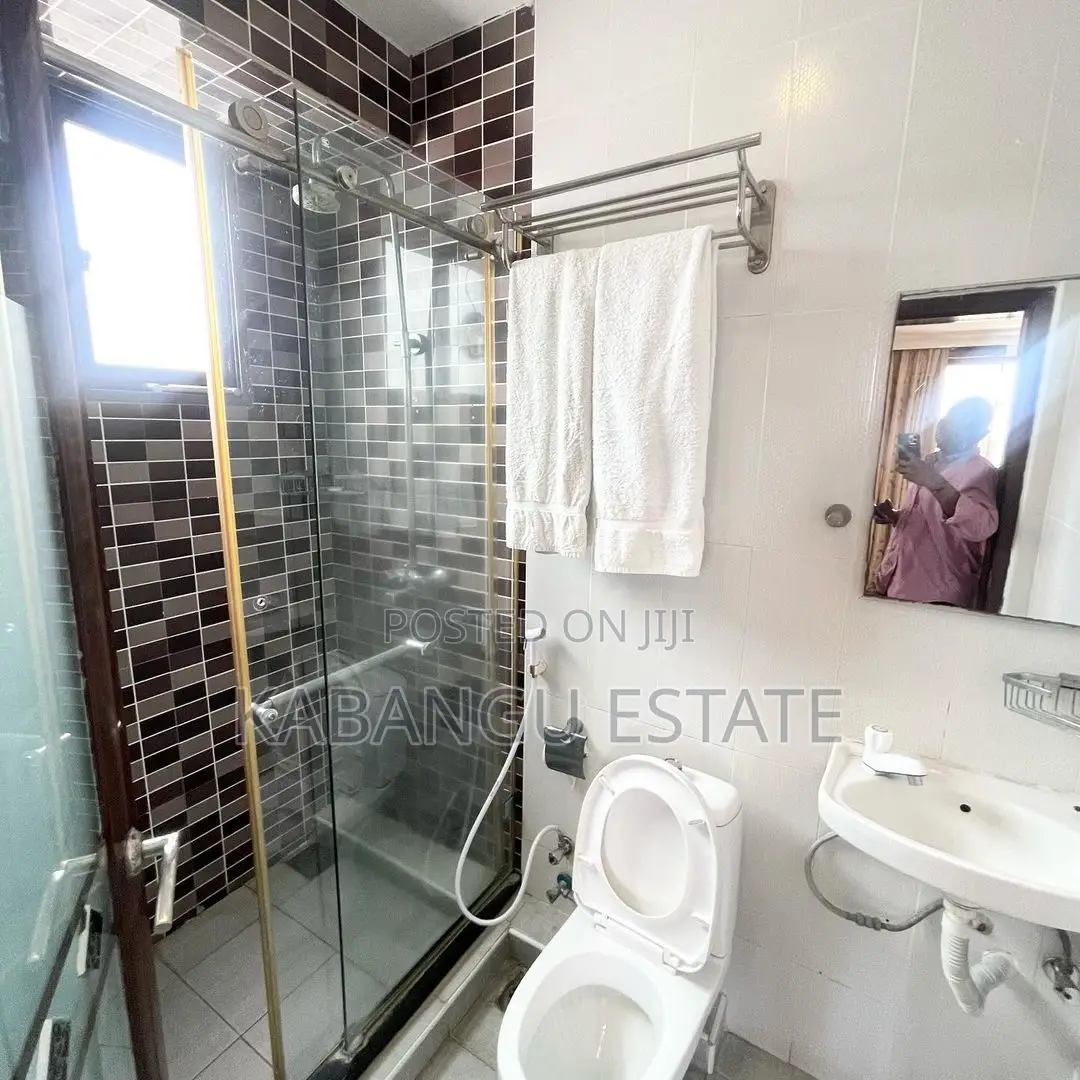 Furnished 1bdrm Apartment in Kisutu, Kinondoni for rent