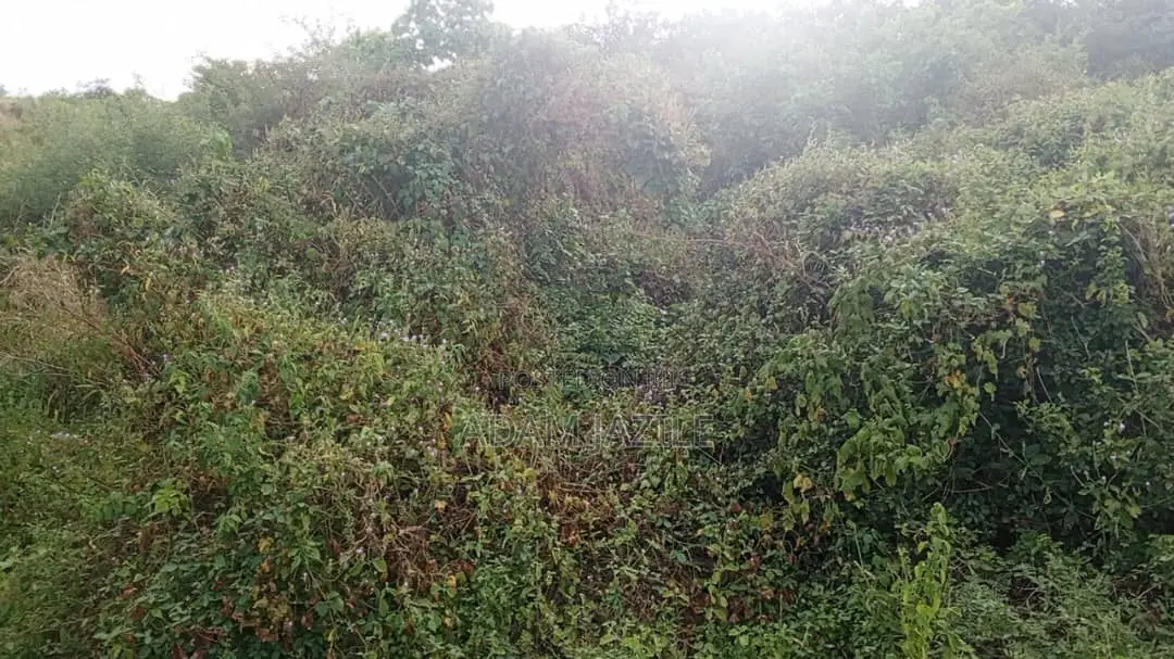 Shamba LA Ekari 100 Linauzwa Mwetemo Kiwangwa