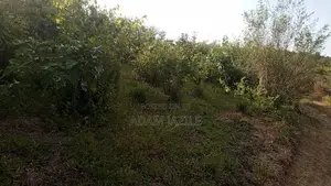 Shamba LA Ekari 100 Linauzwa Mwetemo Kiwangwa