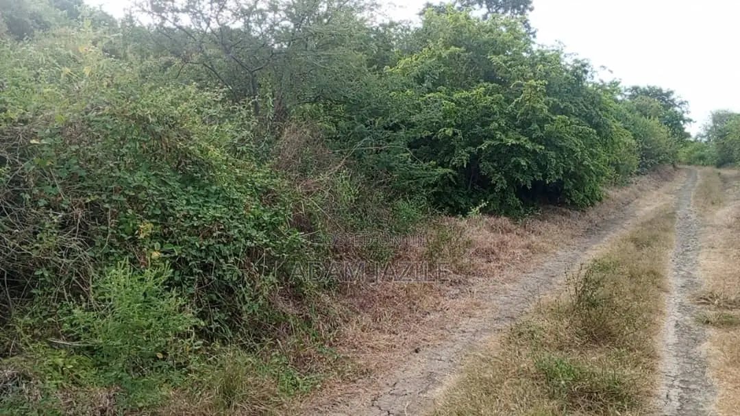 Shamba LA Ekari 100 Linauzwa Mwetemo Kiwangwa
