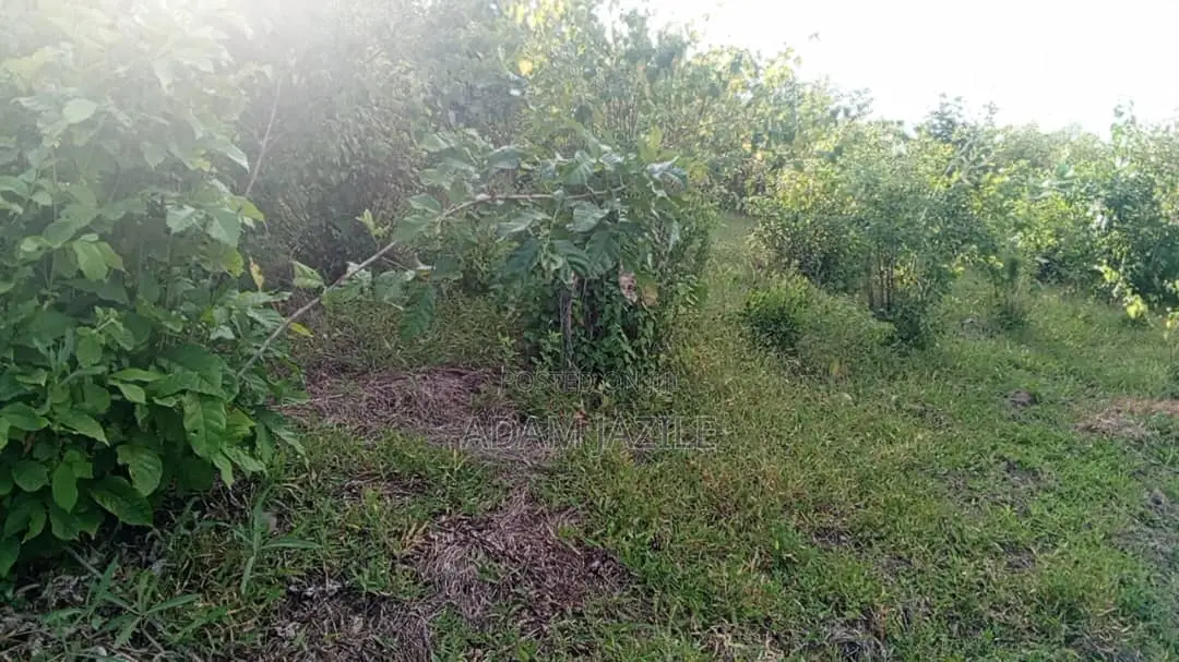 Shamba LA Ekari 100 Linauzwa Mwetemo Kiwangwa