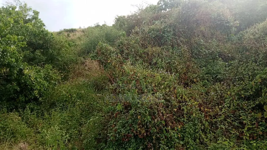 Shamba LA Ekari 100 Linauzwa Mwetemo Kiwangwa