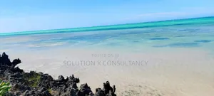 Beach Plot for Sale at Jambiani Zanzibar