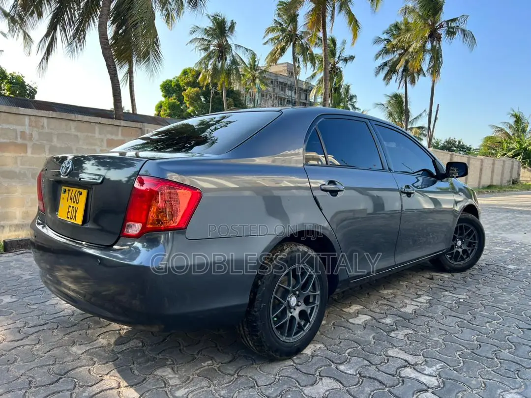 Toyota Axio 2007 Gray
