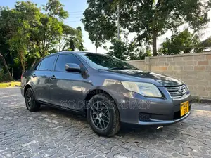 Toyota Axio 2007 Gray
