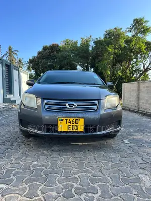 Toyota Axio 2007 Gray