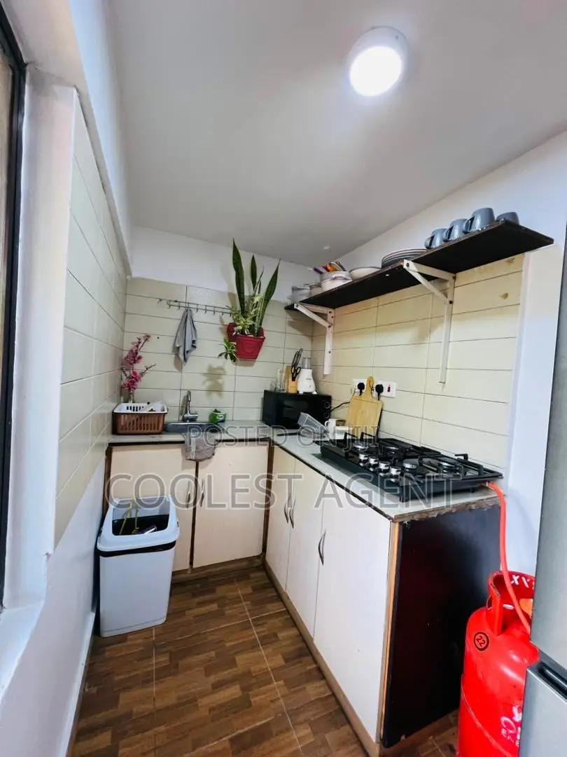 Furnished 1bdrm Apartment in Mikocheni, Kinondoni for rent