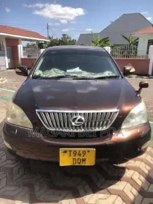 Lexus RX 330 2006 Brown