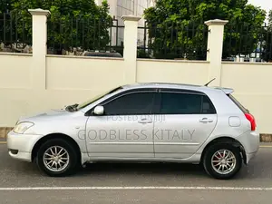 Toyota Allex 2004 Silver