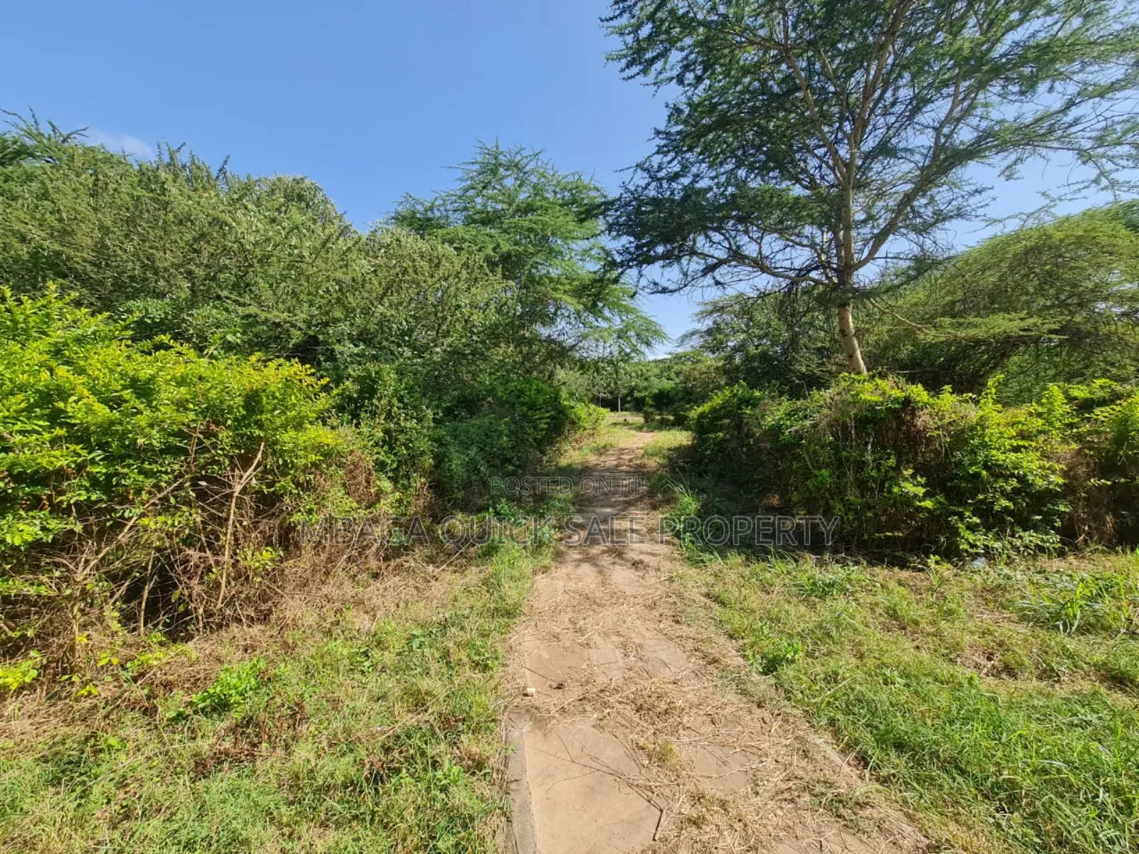 Plot for Sale With 20 Acres at Arusha