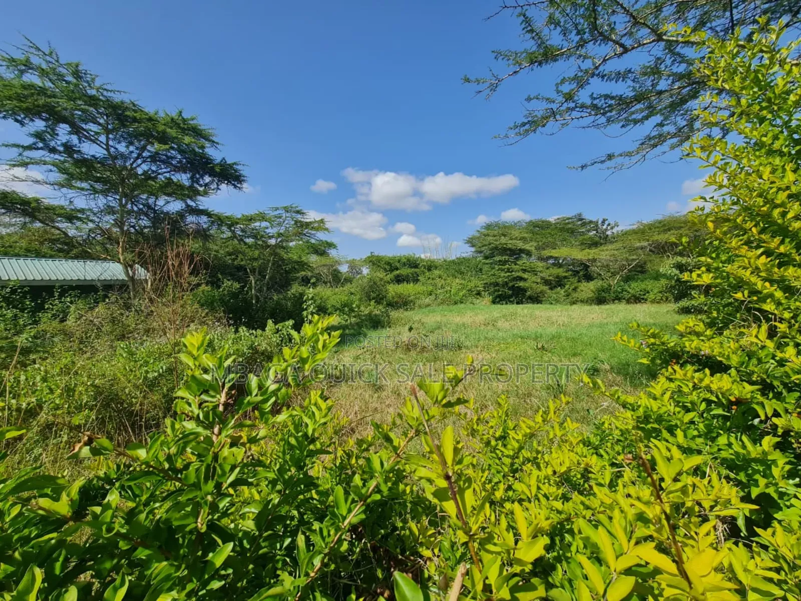 Plot for Sale With 20 Acres at Arusha