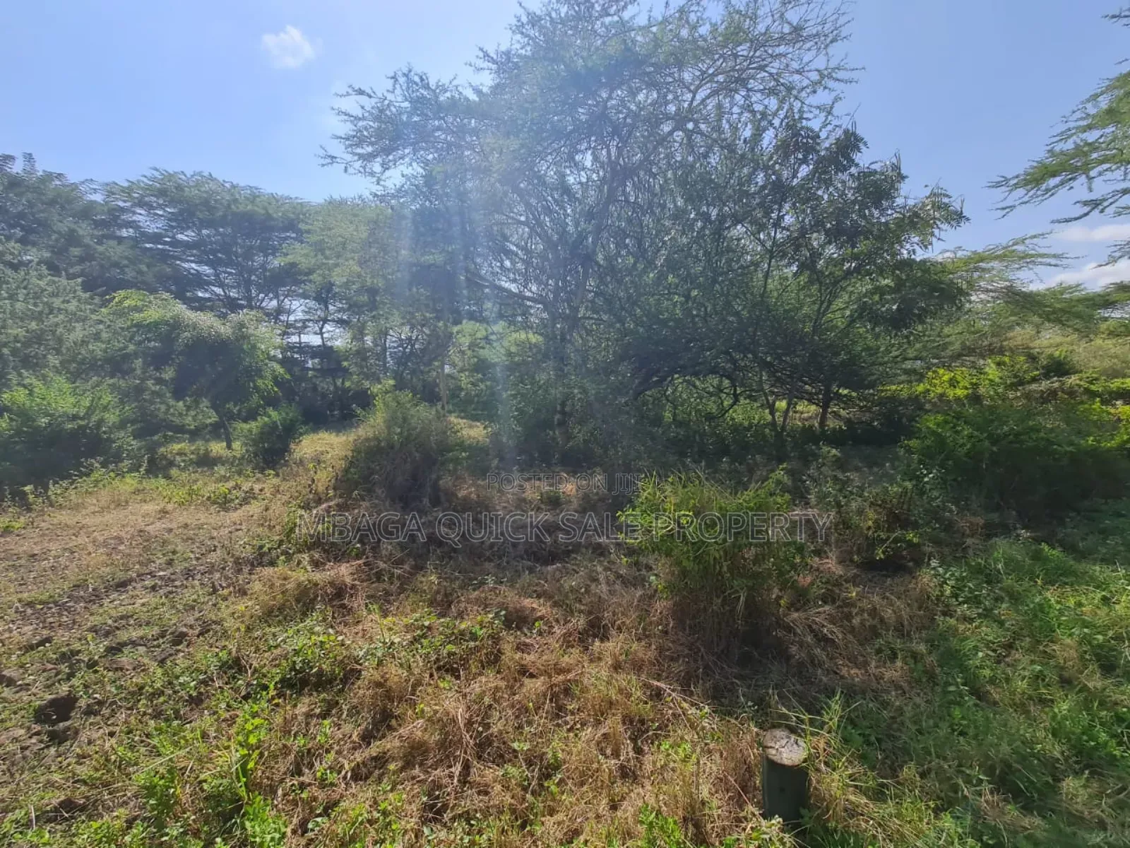 Plot for Sale With 20 Acres at Arusha