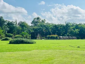 Furnished 13bdrm Farm House in Mapinga, Bagamoyo for sale