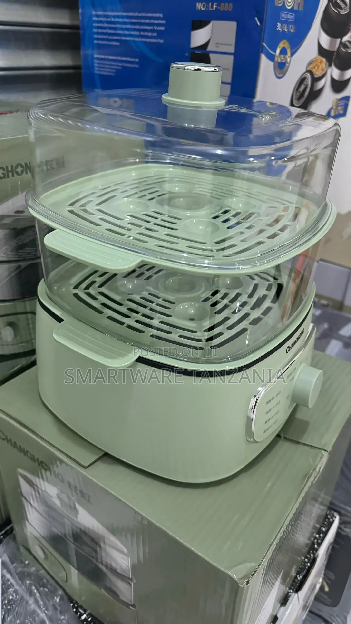 Electric Food Steamer Fast Heating Food, Vegetable Steamer