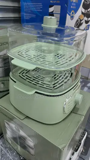 Electric Food Steamer Fast Heating Food, Vegetable Steamer