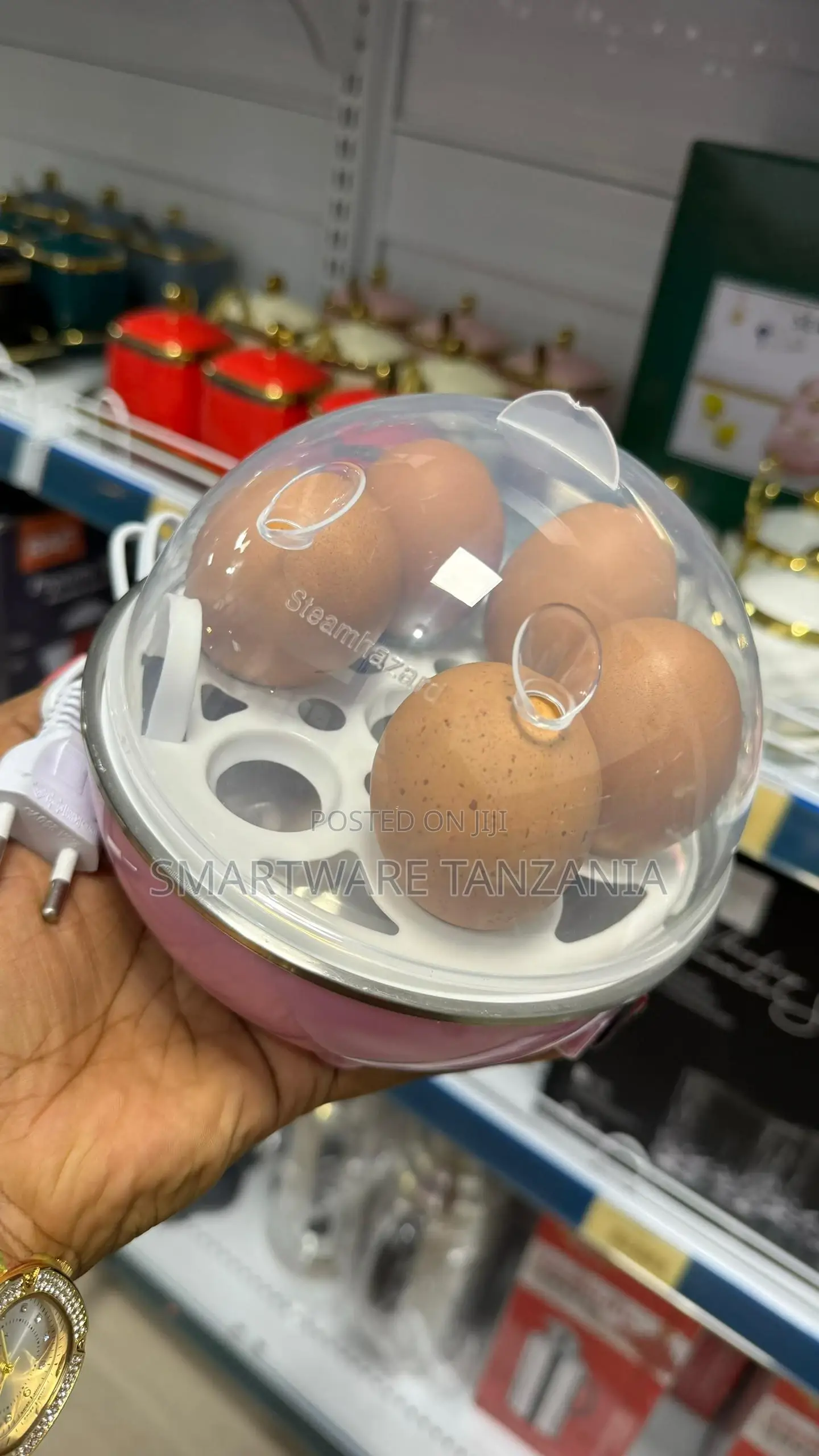 Electric Egg Boiler Egg Steamer Egg Cooker