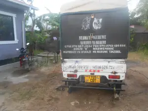 Nyama Ya Nguruwe Na Watoto Wa Nguruwe