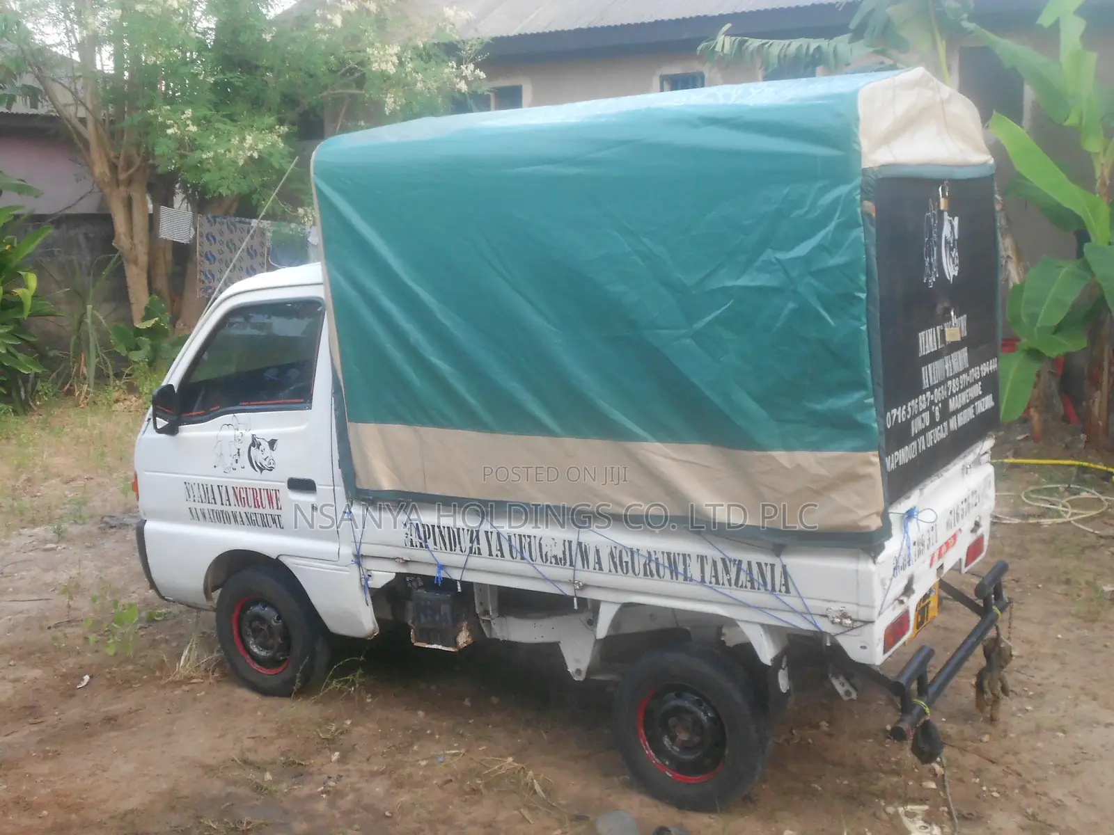 Nyama Ya Nguruwe Na Watoto Wa Nguruwe