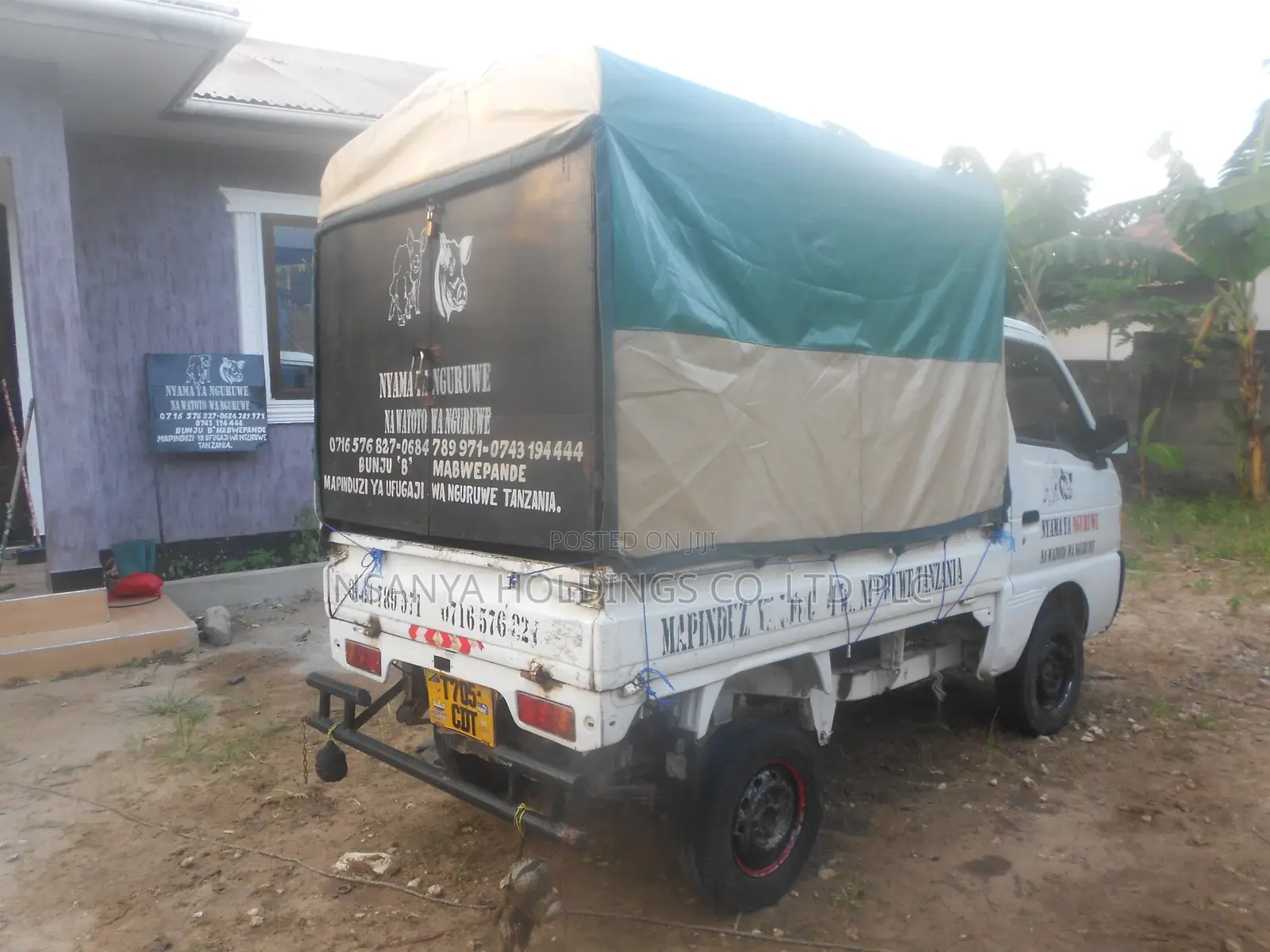 Nyama Ya Nguruwe Na Watoto Wa Nguruwe