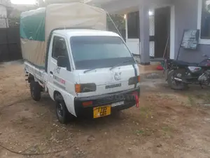 Nyama Ya Nguruwe Na Watoto Wa Nguruwe