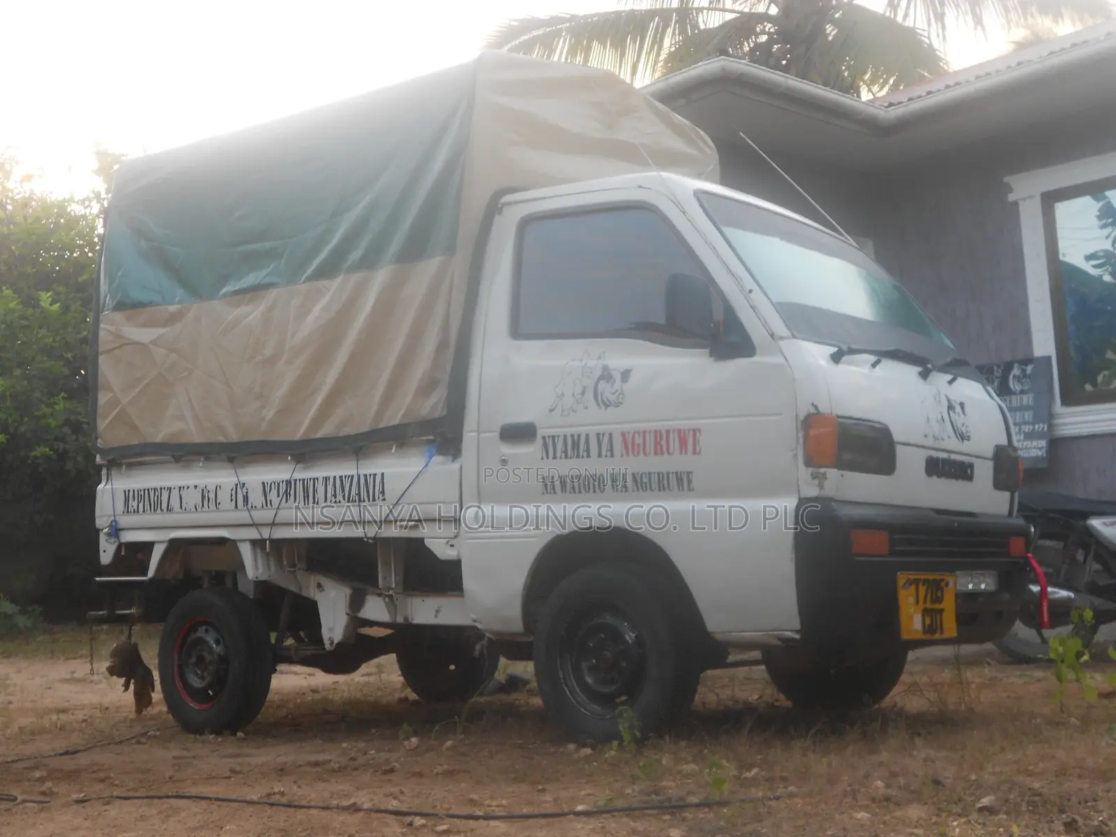 Nyama Ya Nguruwe Na Watoto Wa Nguruwe