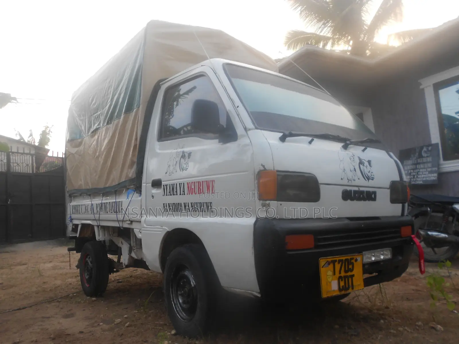 Nyama Ya Nguruwe Na Watoto Wa Nguruwe