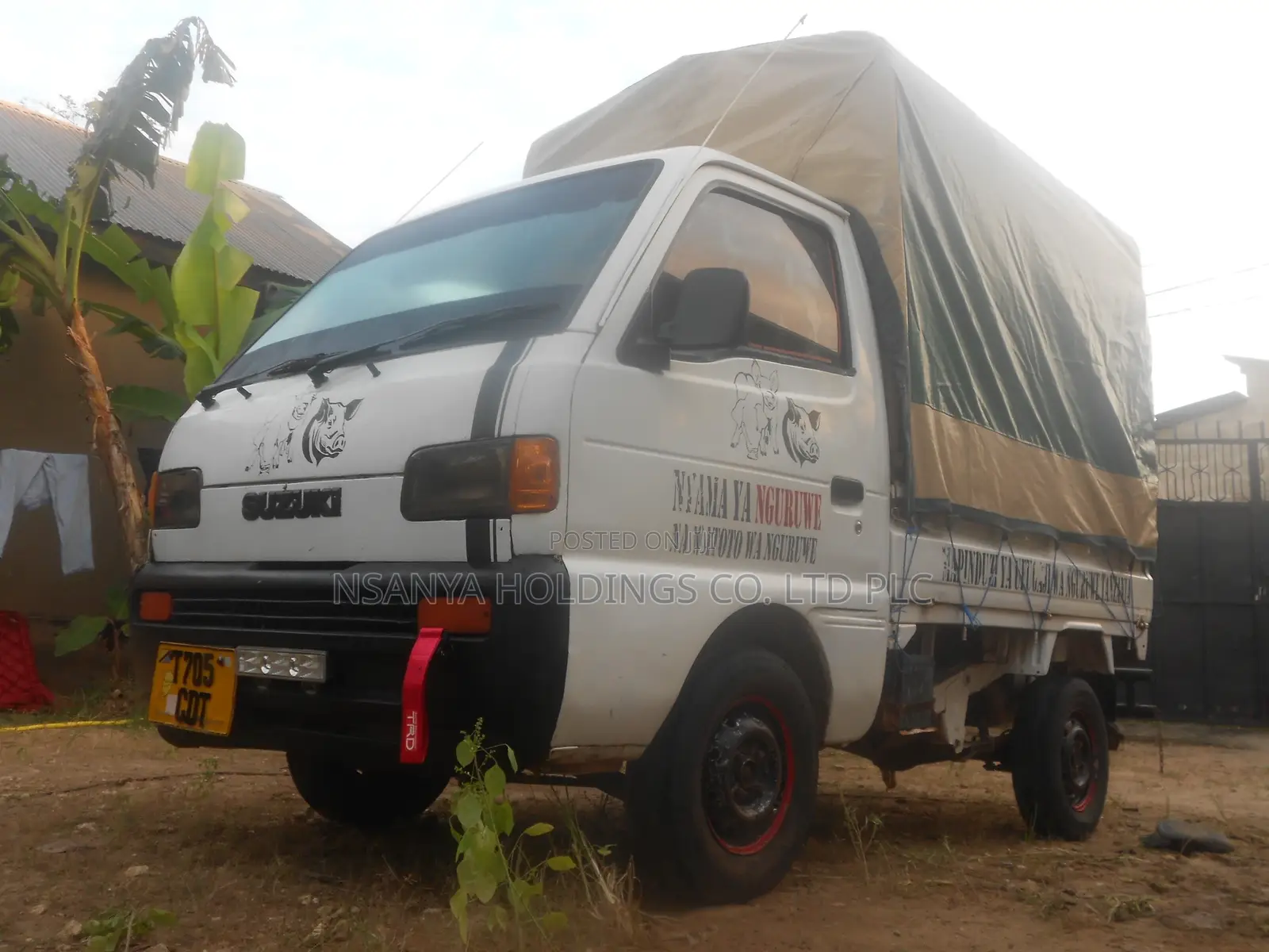 Nyama Ya Nguruwe Na Watoto Wa Nguruwe