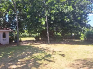 Shamba Linauzwa Kifanya Njombe